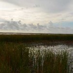 Photo by Frank Giles