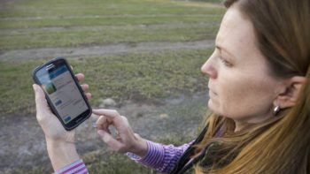SmartIrrigation Avocado app being used in the field