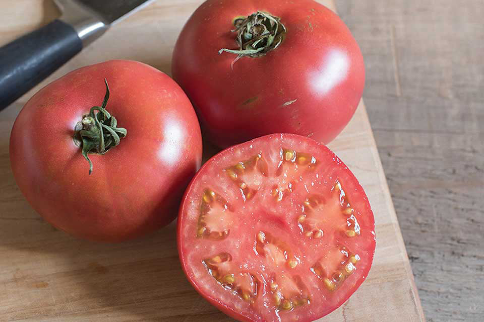 http://files.growingproduce.com/growingproduce/wp-content/uploads/2016/11/Johnnys-Selected-Seeds-Damsel-Tomato1.jpg