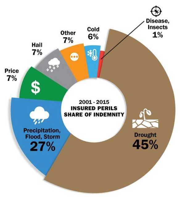 USDA crop insurance graphic