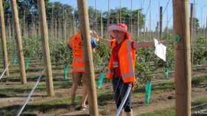 Innovation Part of New Zealand Apple Growers’ DNA