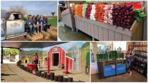 10 Ideas You Can Steal from California Farm Markets