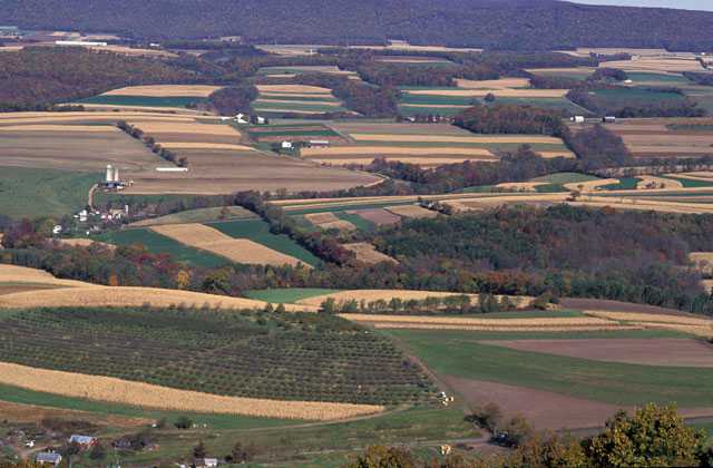 farmland from a bird's eye view