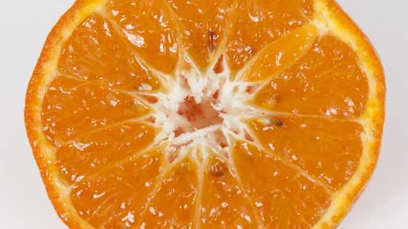 7-6-27 mandarin hybrid orange