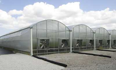 Participate In The 2015 Greenhouse Crop Production & Engineering Design Short Course